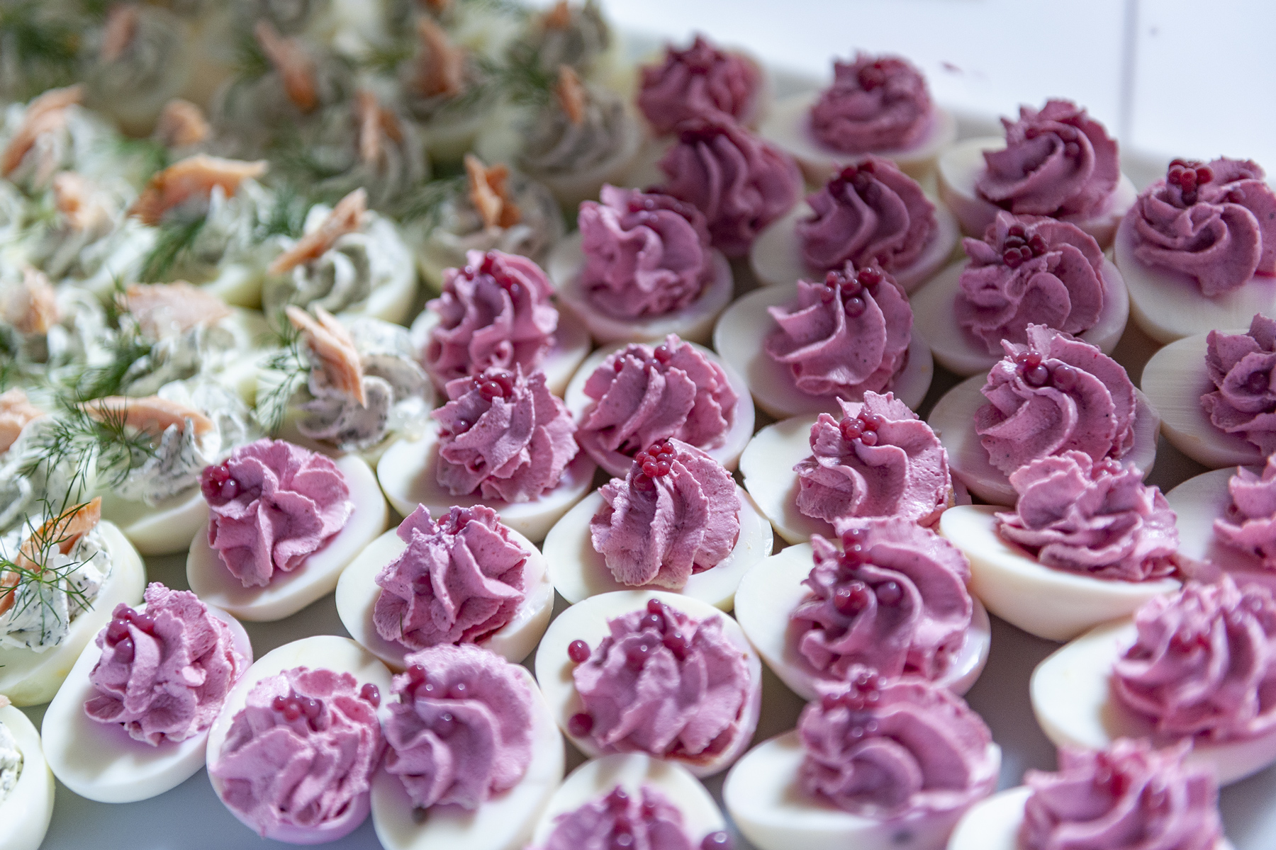 Náš první pražský catering: Galavečer v Clam-Gallasově paláci