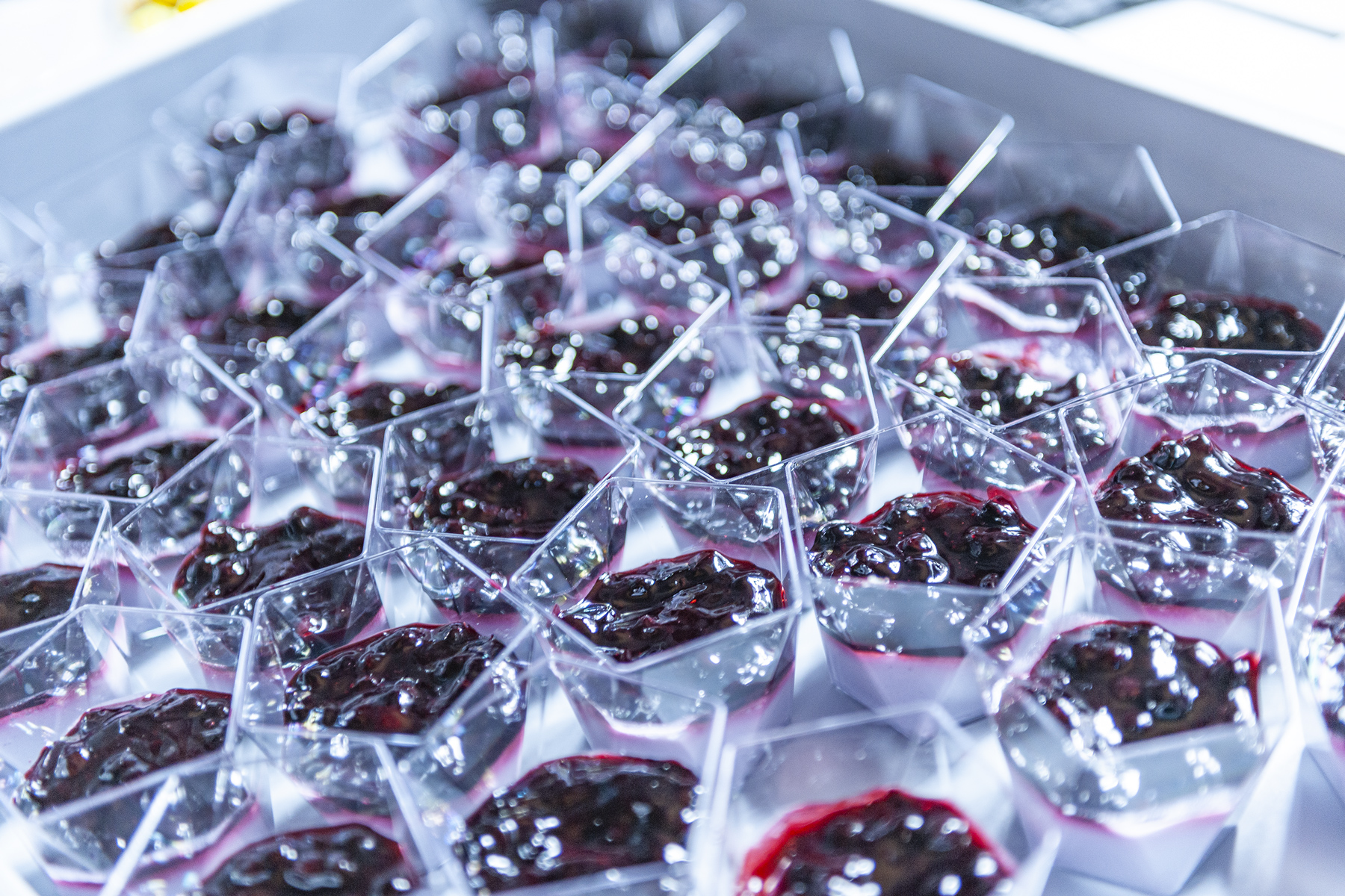 Náš první pražský catering: Galavečer v Clam-Gallasově paláci